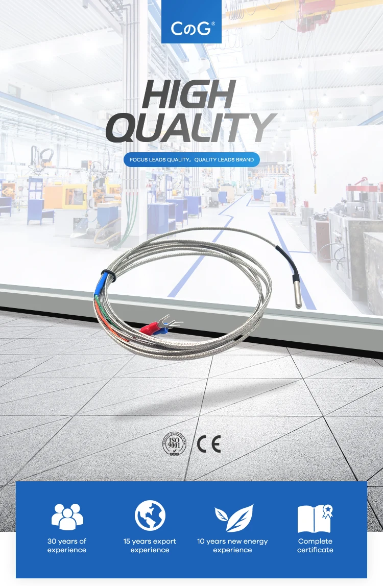 CG 4mm * 30mm K J PT100 1m 2m 3m 5m 10m Sondentyp abgeschirmter Geflechtdraht Thermoelement Temperatursensor für Temperaturregler – Detail 1