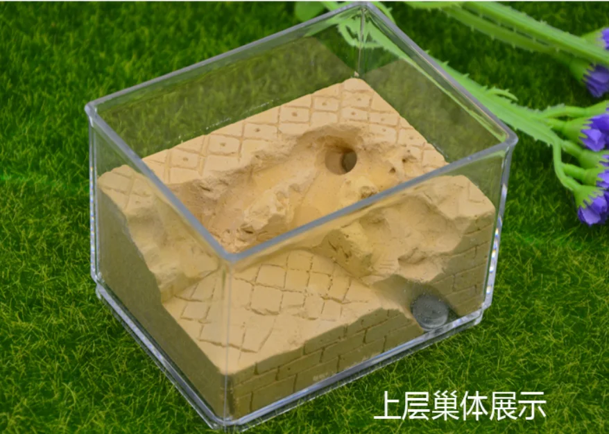 New Ecological Plaster Ant Farm square Nest Landscaping Ant House Ant Nest Workshop Pet Anthill Insect Box  10.3*7.6*7.5cm