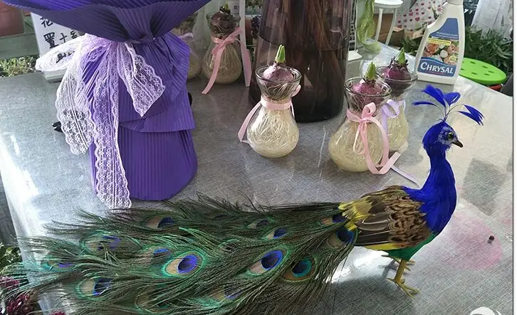 real life Bird feathers bird model about 50cm peacock filming prop decoration gift h1289