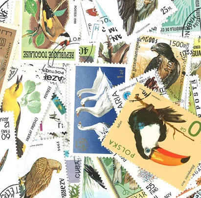 New 50Pcs/Lot Bird All Different From Many Countries NO Repeat  Postage Stamps for Collecting