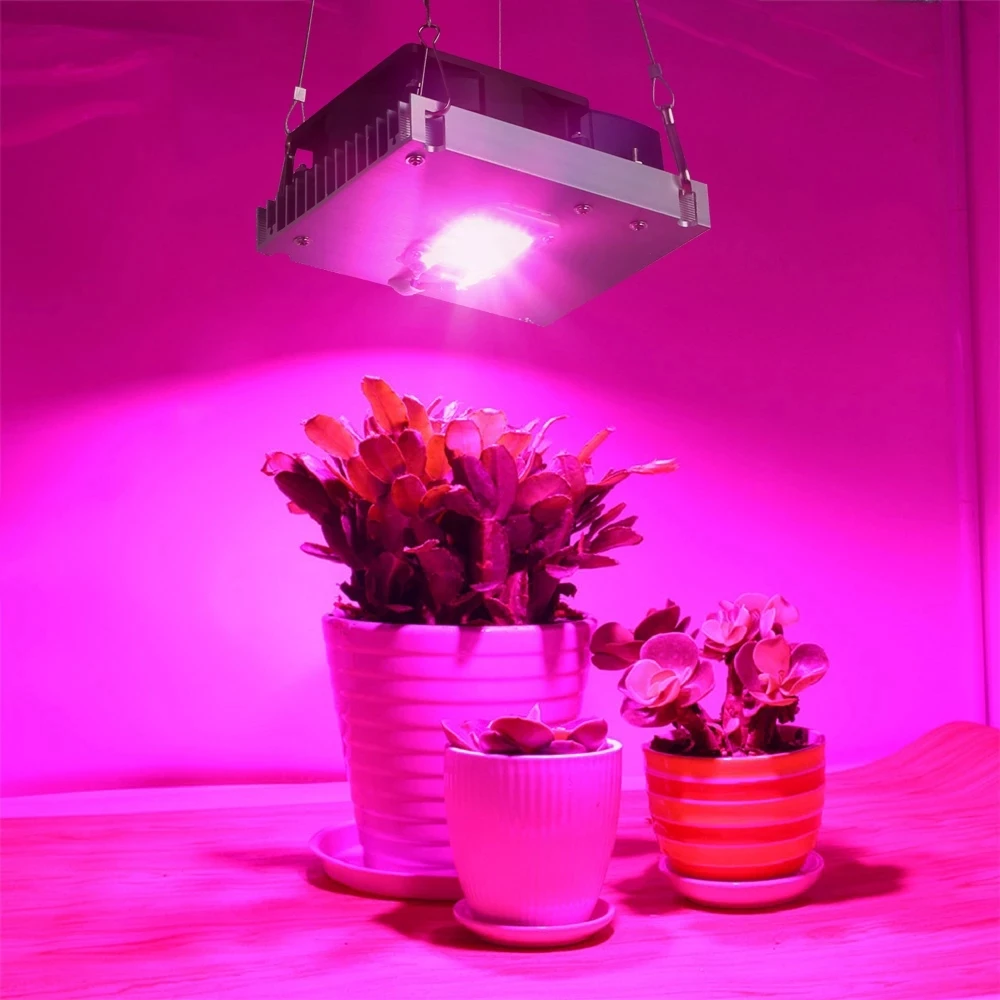 LED Grow Light Full Spectrum 100W 3000K 3500K 5000K Luminous Efficiency for Indoor Hydroponic Greenhouse Plant Growth Lighting