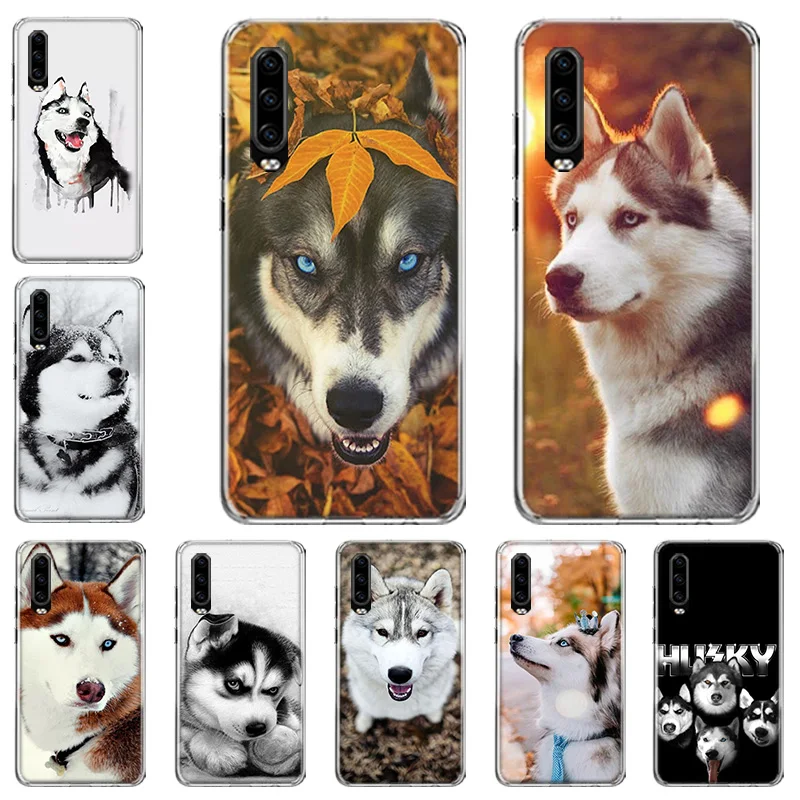 Animal cute snow husky dog Phone Case For Huawei Mate 40 Pro 30 20 Lite 10 Huawei P30 Lite P50 Pro P40 P20 P10 Cover Coque Funda