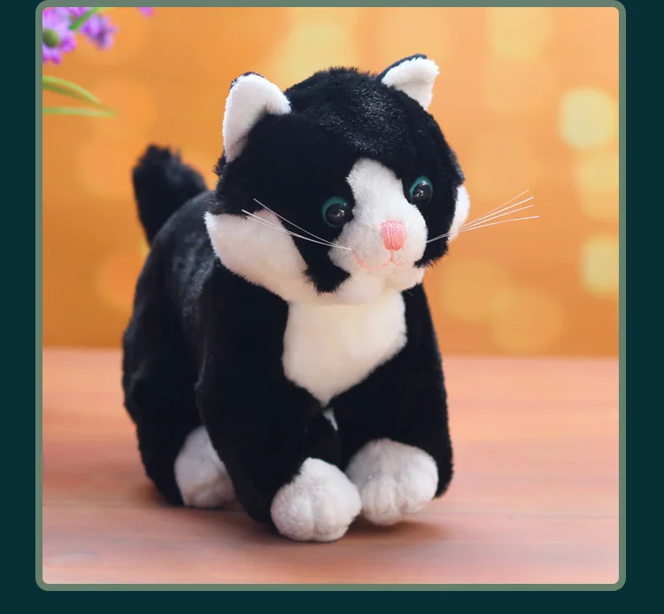 

about 25cm cute cat plush toy black kitty soft doll birthday gift w1770