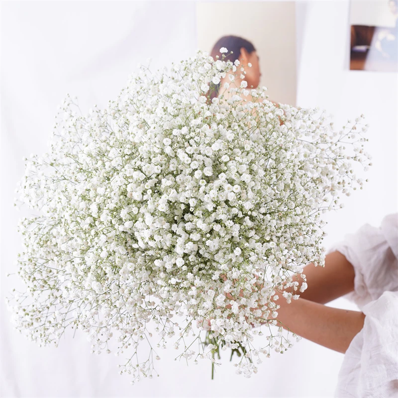 ธรรมชาติสดแห้งรักษาดอกไม้ Gypsophila Paniculata BabysBreath ของขวัญงานแต่งงาน Dekoration Hochzeit Flores Preservadas