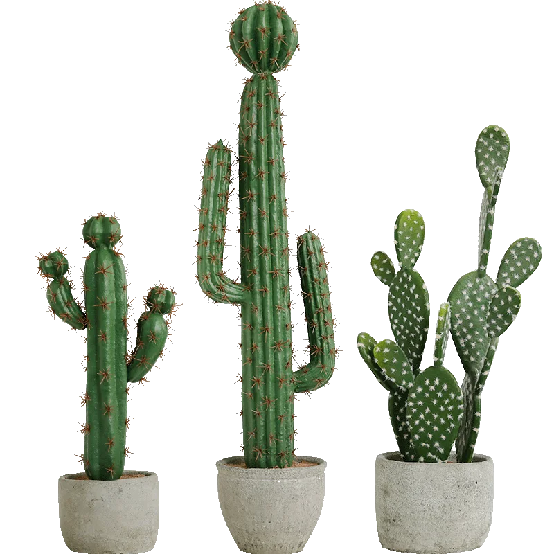 Creative cactus simulation succulent bonsai Nordic office table living room green plant bonsai ornaments