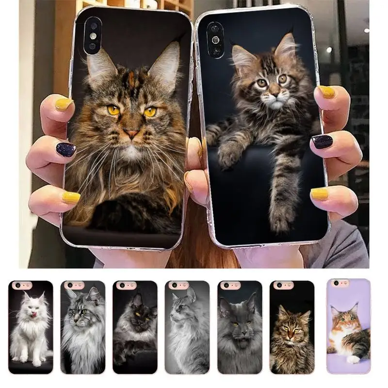 pet maine coon cat Phone Case For DIY iPhone X XS MAX 11 12 13 pro max 6 6s 7 7plus 8 8Plus 5 5S XR SE 2020 case