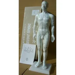 50CM English human acupuncture meridian points model male or female acupoint model with user manual free shipping