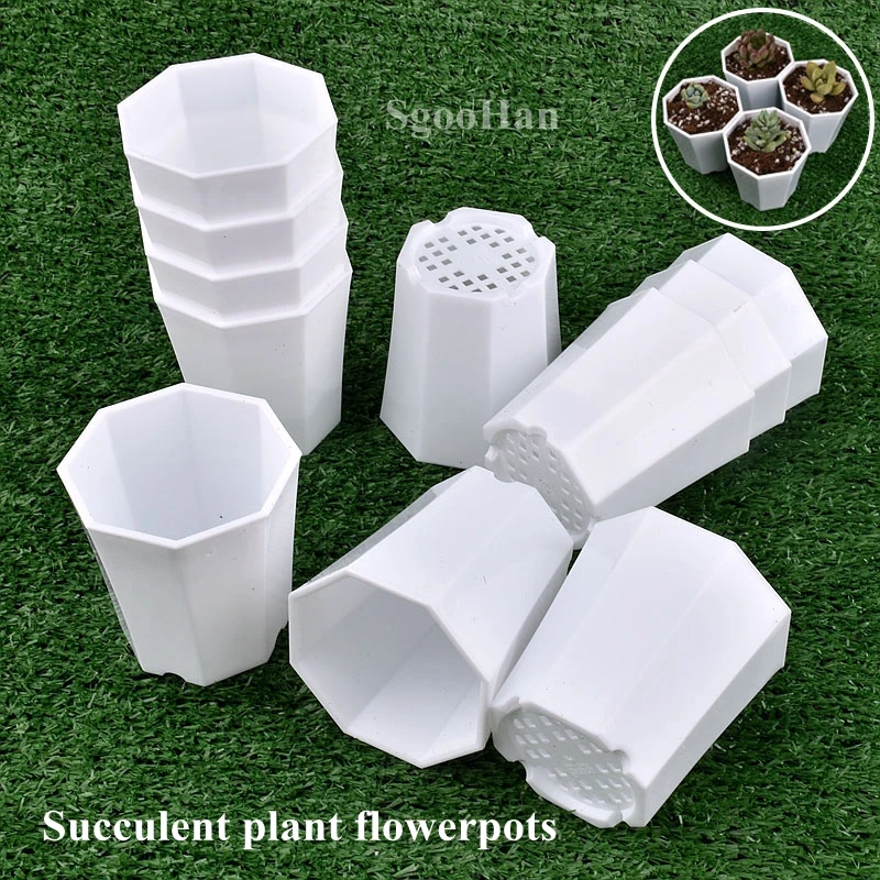 5~50pcs Succulent Plant Flower Pots Mini Plastic Flowerpot Home Office Decor Garden Bonsai Cactus Plants Simple Flower Pot 68*73