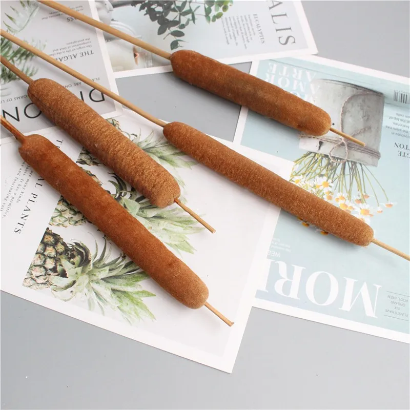 5pcs Dried reed stick home art decor free shipping pure natural plants cattail dried plants exhibit design use