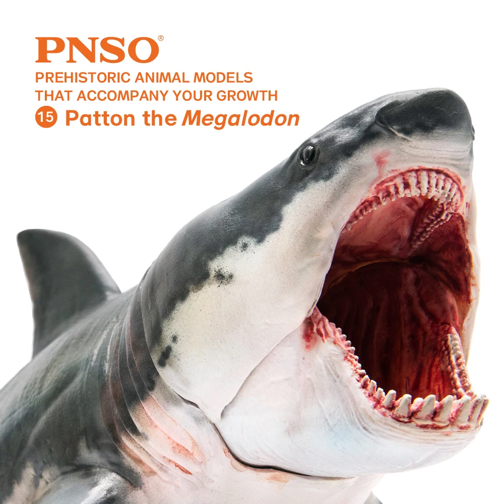 PNSO Prehistoric Animal Models: 15Patton The Megalodon (Big White Shark) 6.2\