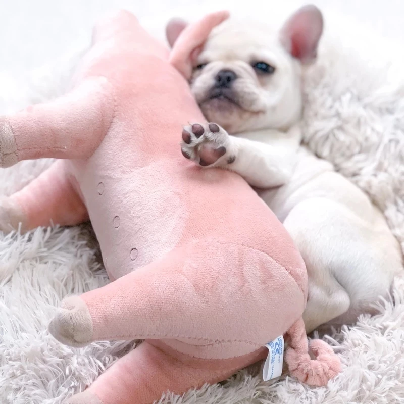 Dog Stress Reliever Sleeping Estrus Toy Male Sex Doll Vent Poodle Play Companion French Bulldog Pet Cat Exhaust Plush Pig Stitch