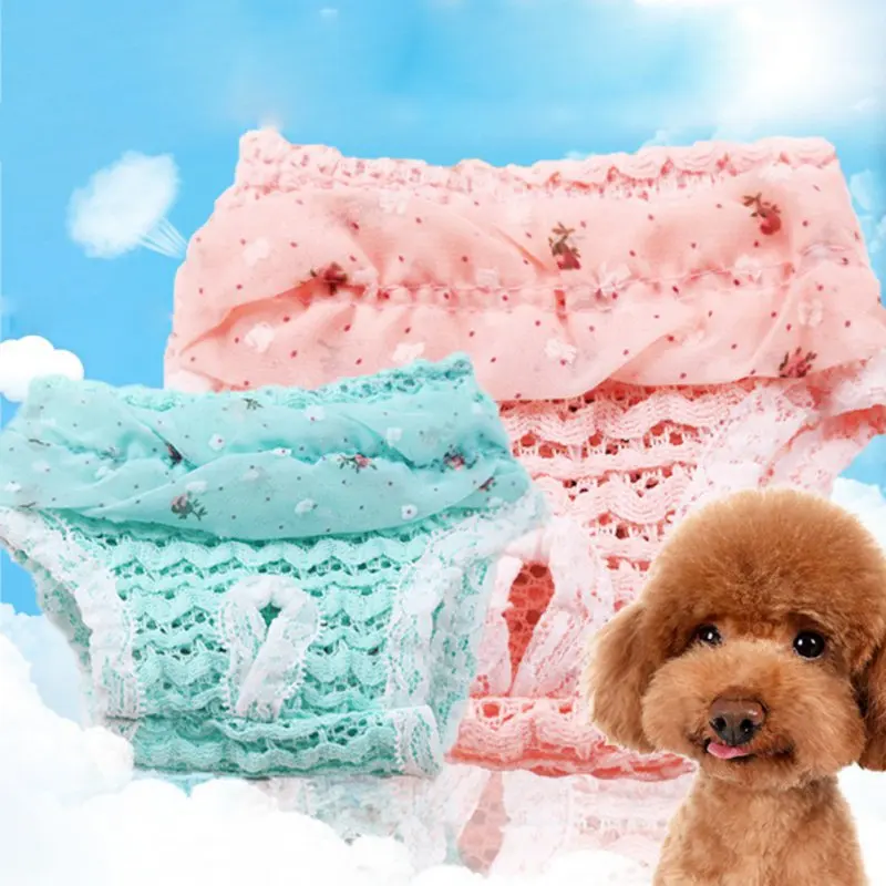 Chiffon Dog Fraldas Shorts de Segurança, Calças Sanitárias Dog, Calcinha Menstrual, Princesa Puppy Panties, Lace, S, M, L