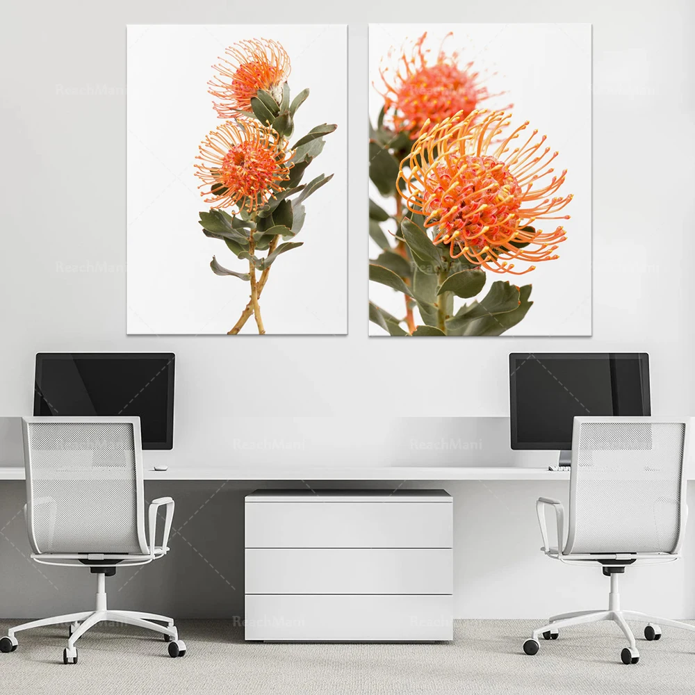 Protea printable wall art, 2 pieces of wall art flower photography, Australian native photography, Australian art, plant print s