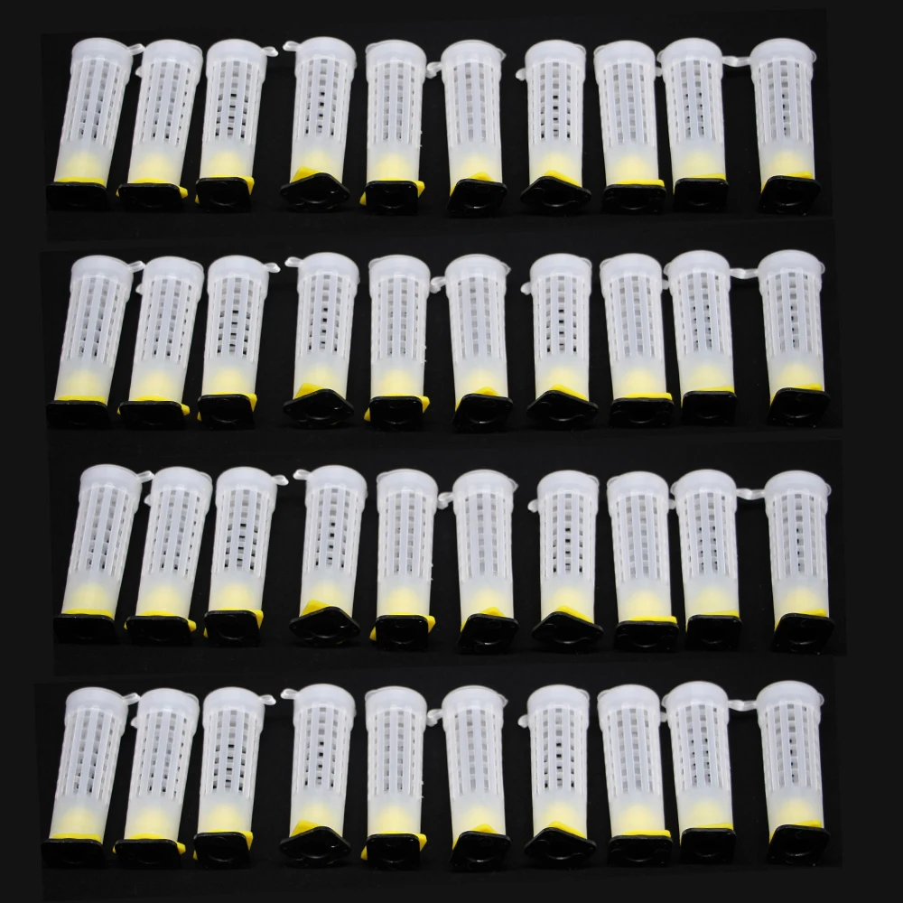 40Pcs Beekeeping Plastic Queen Bee Farm Tools Cage New King Rearing Protection Cover Larva Cupkit Protective Roll Supplies