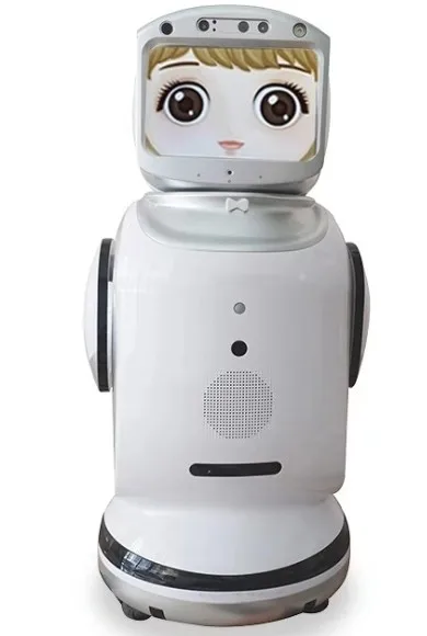 Smart Robot Kan Programma Dialoog Voice Video Chat Monitoring Begeleidende Robot