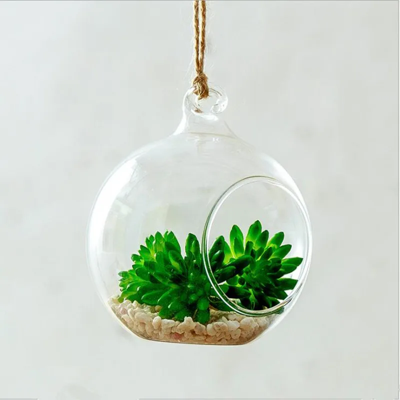 Diameter=10cm Middle Size Hanging Glass Terrarium Vase Home Decoration Microlandscape Container Condole Bottle Wedding Live Prop