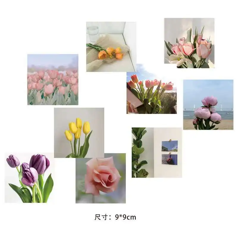 Ins Style Plant Flower Tulip Rose Postcard 9 Sheets Square Double-sided Diy Decorative Card Background Wall Sticker Photo Props