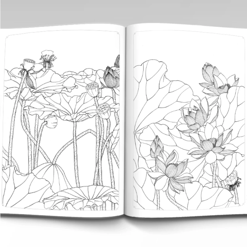 Classic Complete Works Line Drawing 5000 Cases Book Traditional Chinese Meticulous Painting Technique Flower Fruit Coloring Book