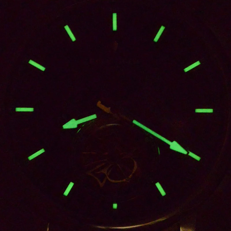 ساعات ريف تايجر الفاخرة للرجال، ساعة أوتوماتيكية للرجال، ساعة يد ميكانيكية مقاومة للماء، هيكل عظمي من الياقوت، احتياطي الطاقة، سوار جلدي