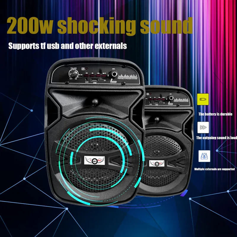 Portable 220v AC  5v DC 6.5 Inch Bluetooth Active Speaker Subwoofer  USB/TF Card/AUX/FM Radio/Microphone Input