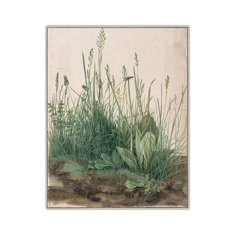 Citon Canvas Albrecht Durer《Great Piece of Turf》Art Oil painting Artwork Poster Picture Modern Wall decor Home Decoration