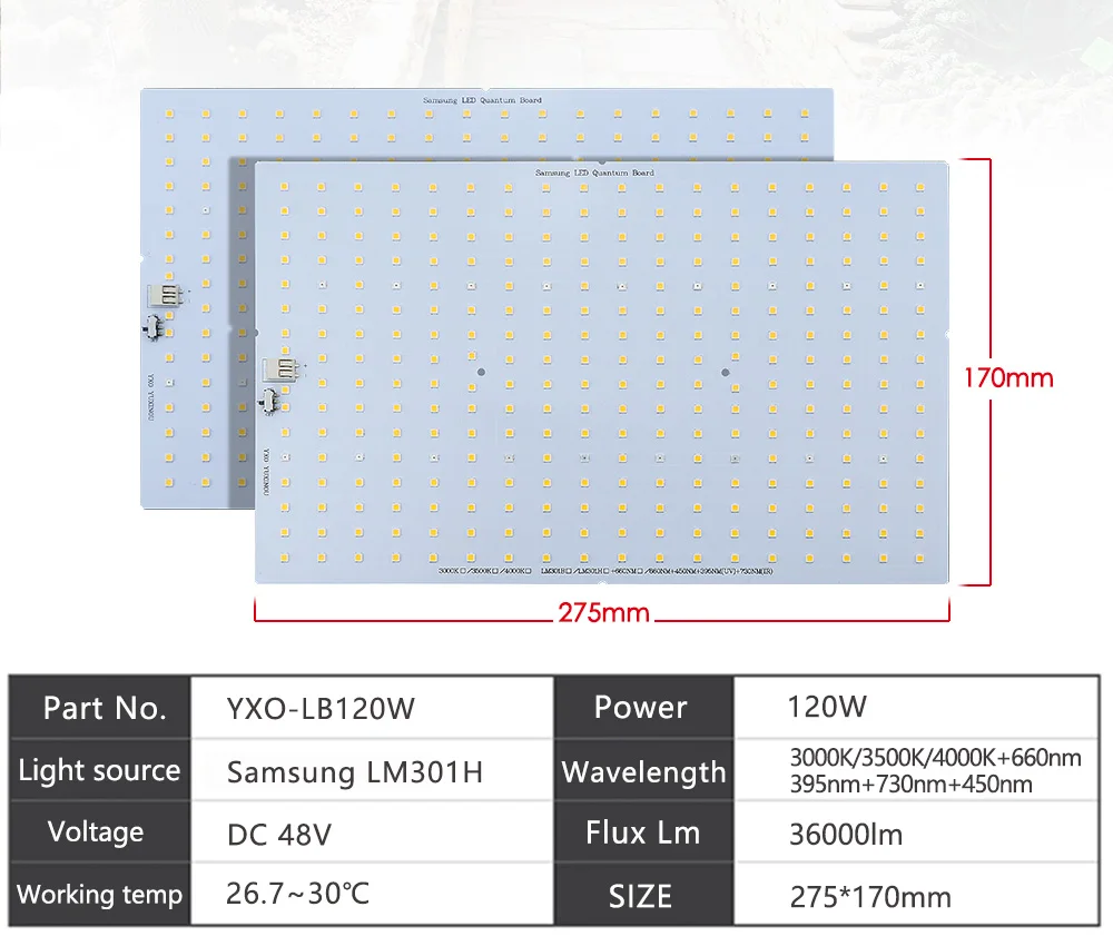 Samsung QB288 Quantum Placa de LED para Cultivo, Lâmpada UV e IR para Plantas, Verduras, Flores, LM301H, 3.000 K 3.500 K 660 nm, 120 W, 240W