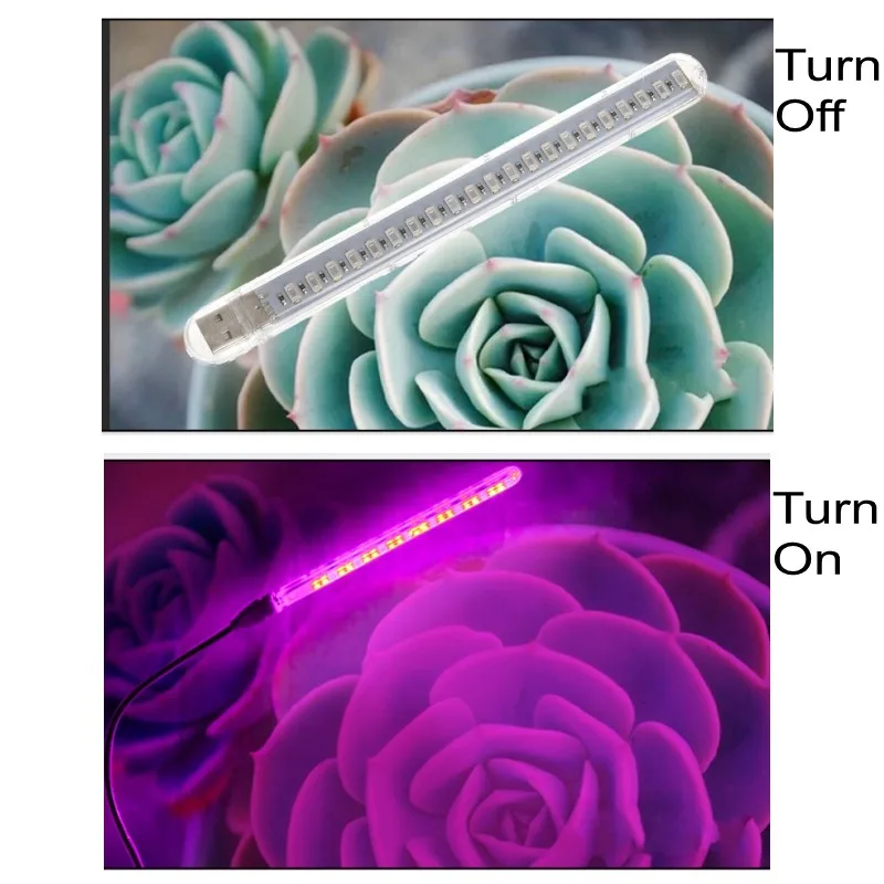 10W USB Growth Light 21 LED Phyto Flower Growing Seedling Lamp Full Spectrum Grow Light for Indoor Desktop Green Plant Sunlight
