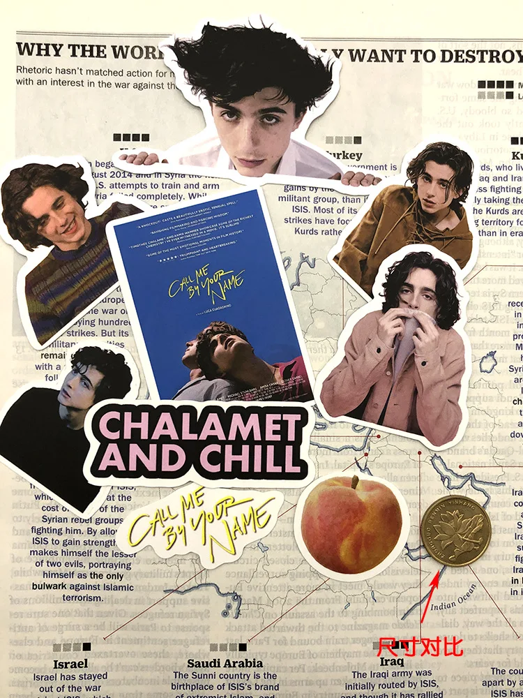 20 PCS Timothée Chalamet Photos Picture Sticker Daily Decorations Christmas New Year Birthday Gift