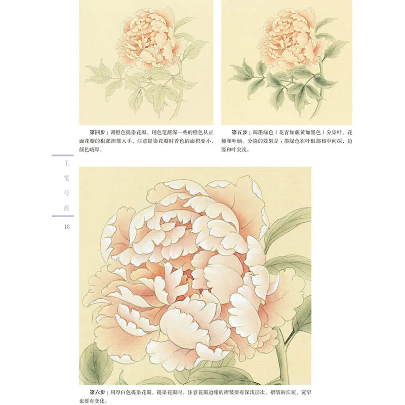 Gongbi Flor Peônia Desenho Tutorial para Adultos, Pintura Tradicional Art Book, Pintura Chinesa