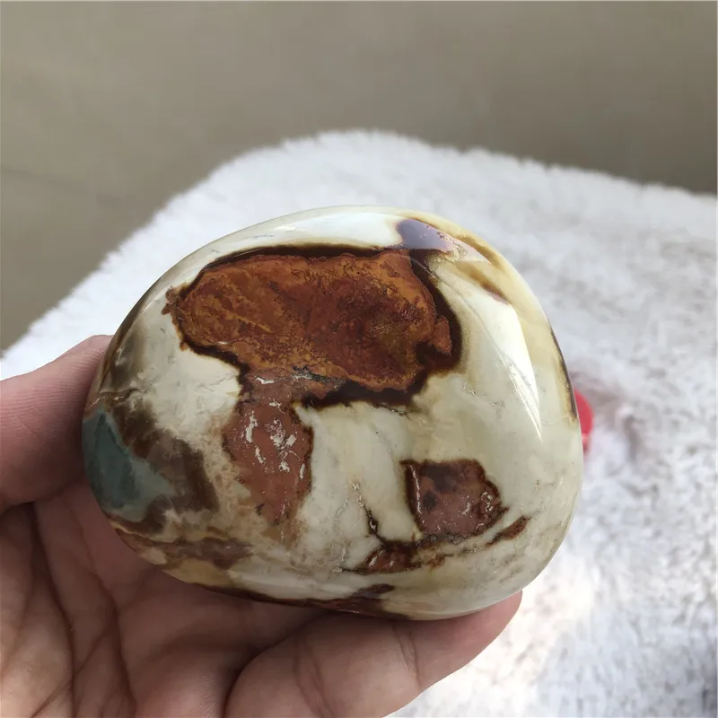 

Натуральный камень Лечебные кристаллы морской пальмы Декоративная коллекция камней и кристаллов