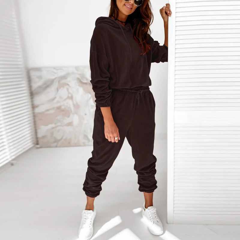 Autumn Winter Velour Tracksuit Women Velvet Set Woman Tracksuit Sets Winter Velvet Suit Two Piece Set Solid Color Hooded Suit