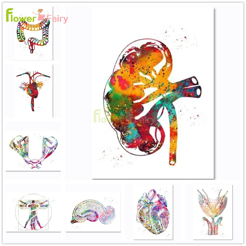 

Colorful Human Heart Biology Organ Nordic Poster Clinic Viscera Wall Art Canvas Painting Wall Pictures For Living Room Unframed