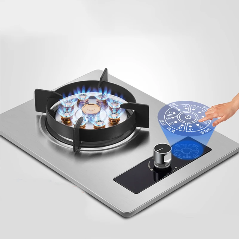 Built-In Gas Stove, Household Stove, Natural Gas Stove, Desktop Liquefied  Gas Stove Thermoelectric Protection Device