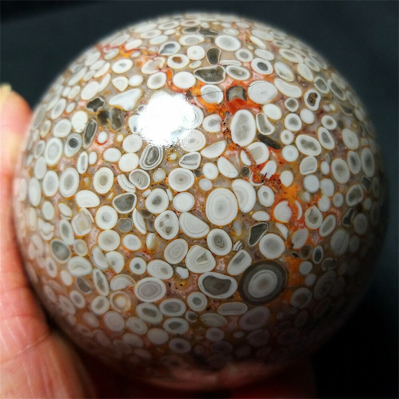 Natural Marine jasper ecological coral fisheye crystal quartz energy sphere reiki healing