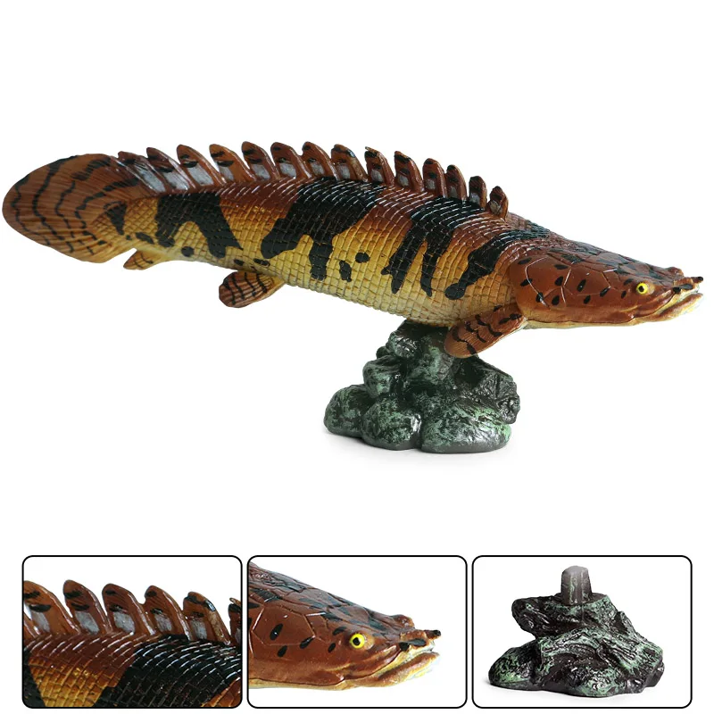 Oenux Meer Leben Tiere Modell Action-figuren Ozean Fisch Segelfisch Bass Zacker Lachs Aquarium Figuren PVC Pädagogisches Kinder Spielzeug – Detail 9