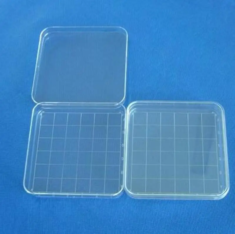 Plastic disposable 10*10cm square petri dishes 10 sets/pack Separating line