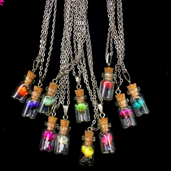 1 set of glass bottle with cork and necklace can be used to make DIY Necklace accessories for dry flowers