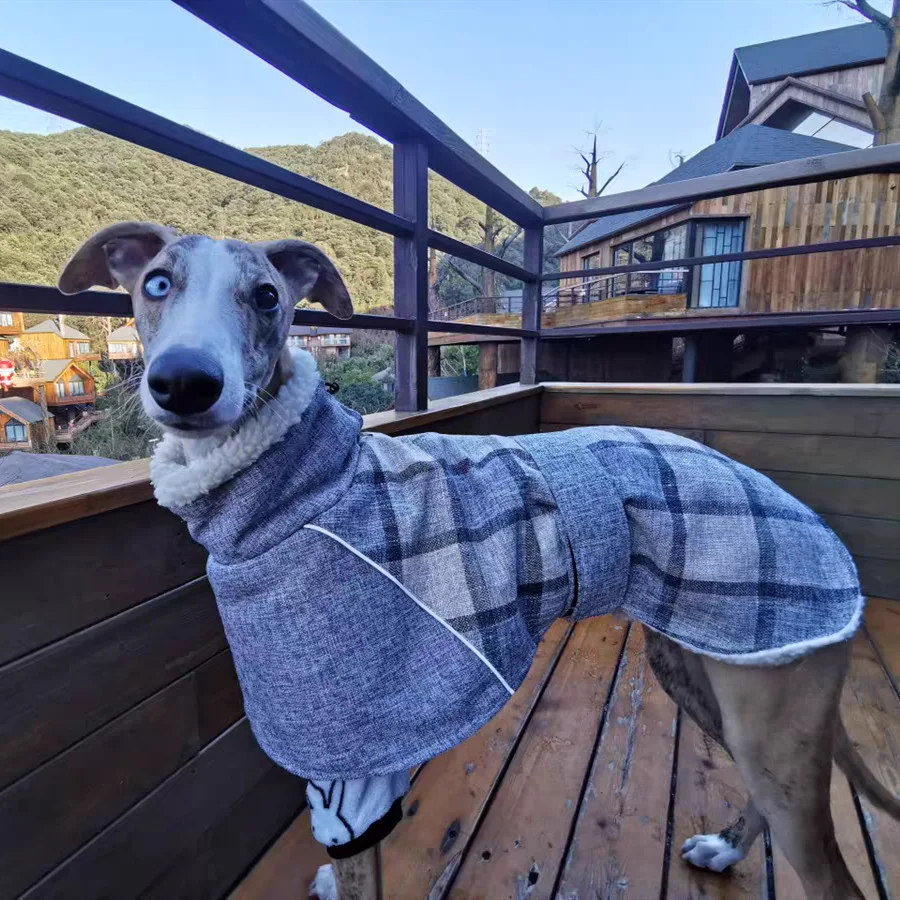 Plaid Wool Coat for Greyhound Greyhound, Reflective Cold-Proof Clothes, Suitable for Autumn and Winter