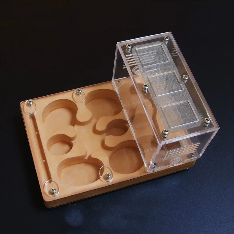 Pet ant plane nest acrylic ant nest non-ant workshop ant villa ants farm house  insect  ant farm