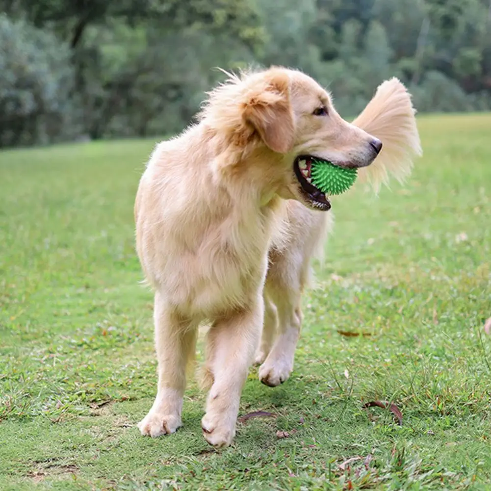 1PC zabawka dla zwierząt domowych piłka z piszczałką Pet Spike Ball Fetch żucia piłka zabawka ząbkowanie odporne na zużycie do gryzienia zabawki dla