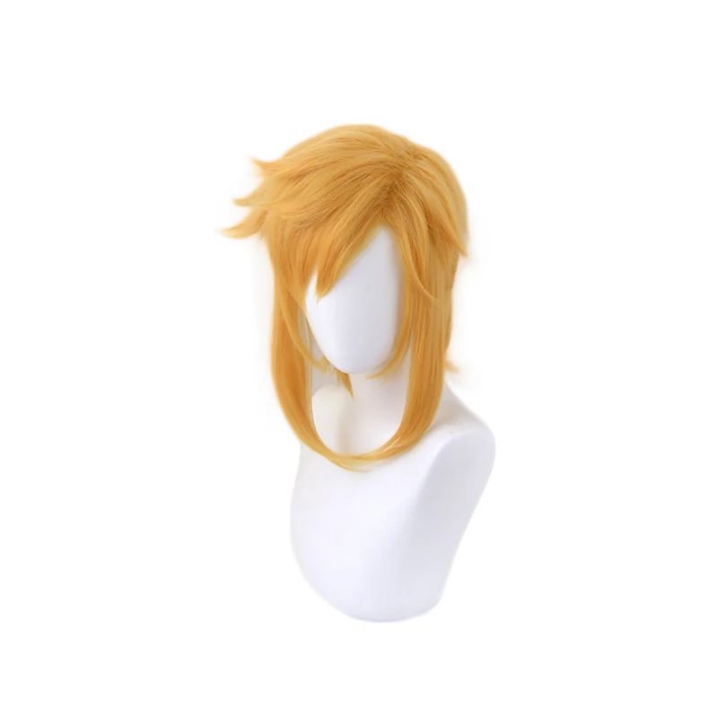 Breath of the Wild Link Korte paardenstaartpruik Cosplaykostuum Hittebestendig synthetisch haar Heren Dames Pruiken + Pruikdop