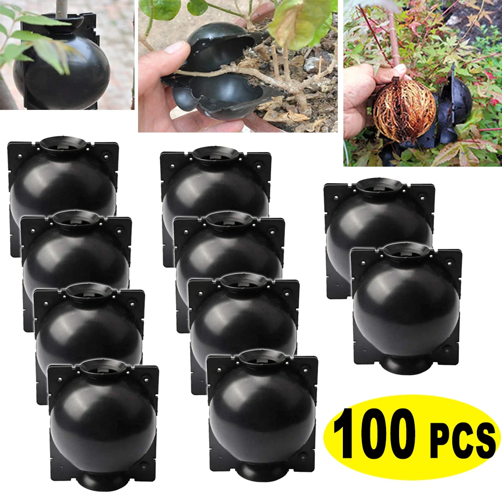 

100pcs Plant Grafting Rooting Ball Breeding Case Rooting Growing Box Plant Root Device High Pressure Propagation Balls for Plant