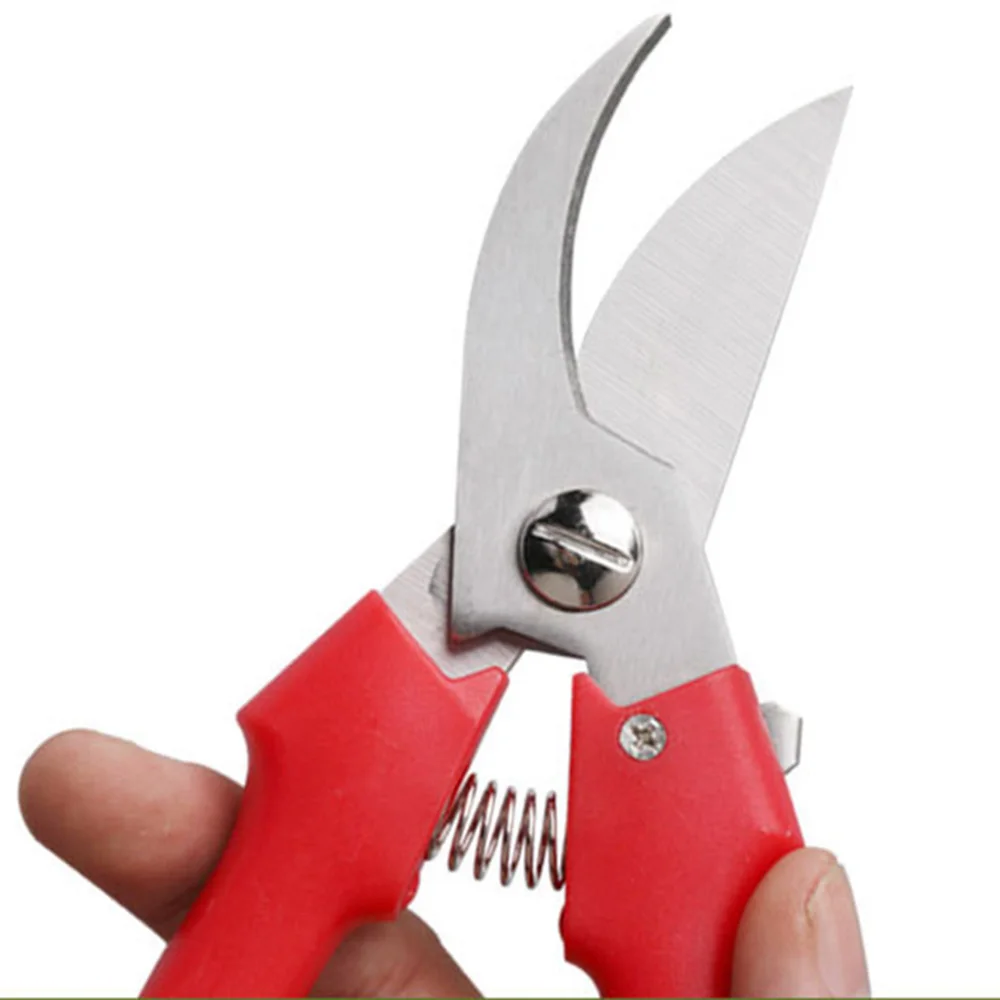 Tijeras de acero inoxidable para horticultura, tijeras de podar para jardinería, ramas y huerto, nuevo