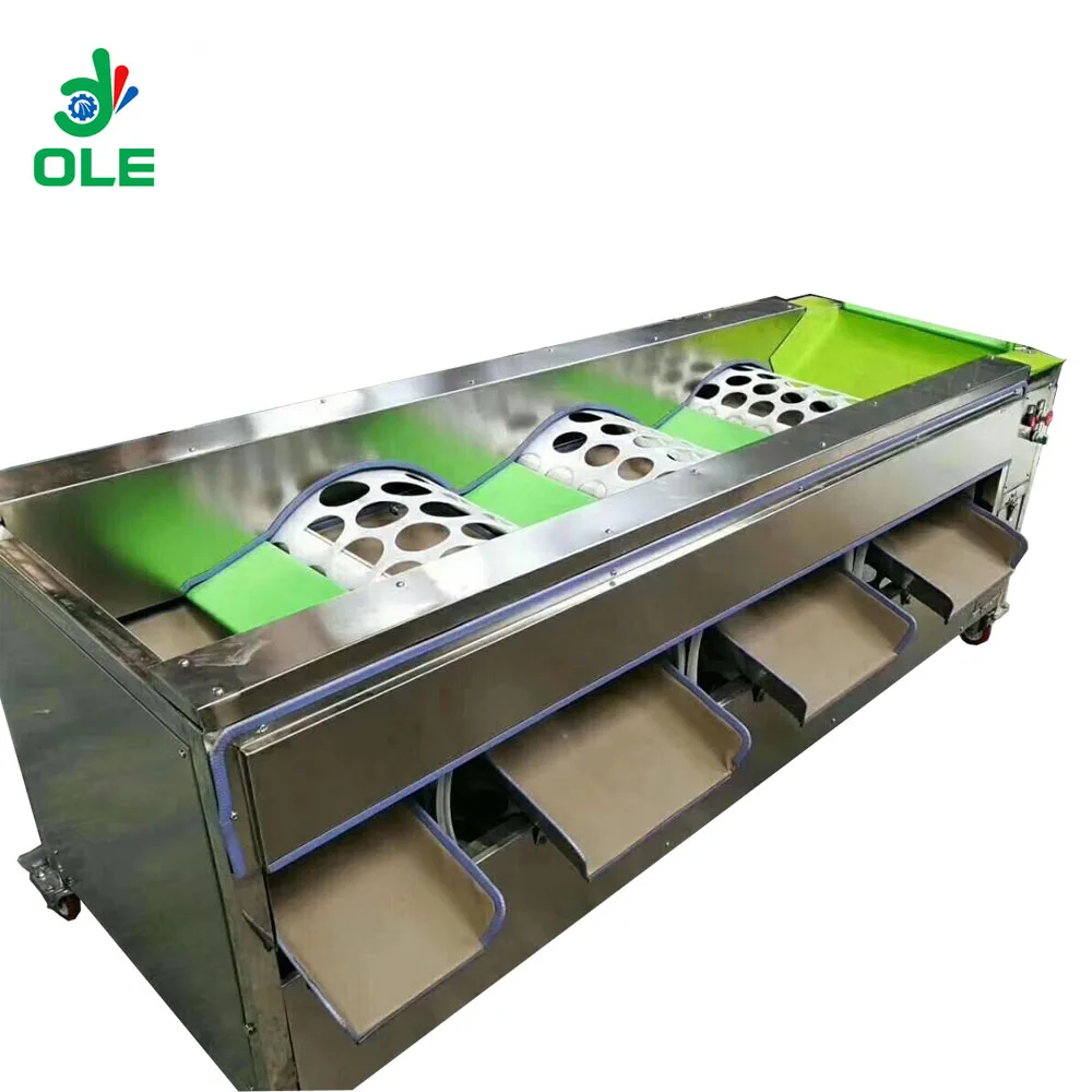 스테인레스 스틸 과일 분류 기계, 애플 오렌지 마늘 등급 기계