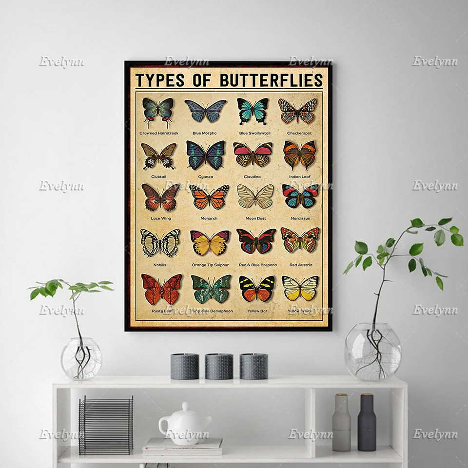 Types Of Butterflies Butterflies Poster, Nursery Decor, Insect Wall Art Prints Home Decor Canvas Floating Frame Unique Gift