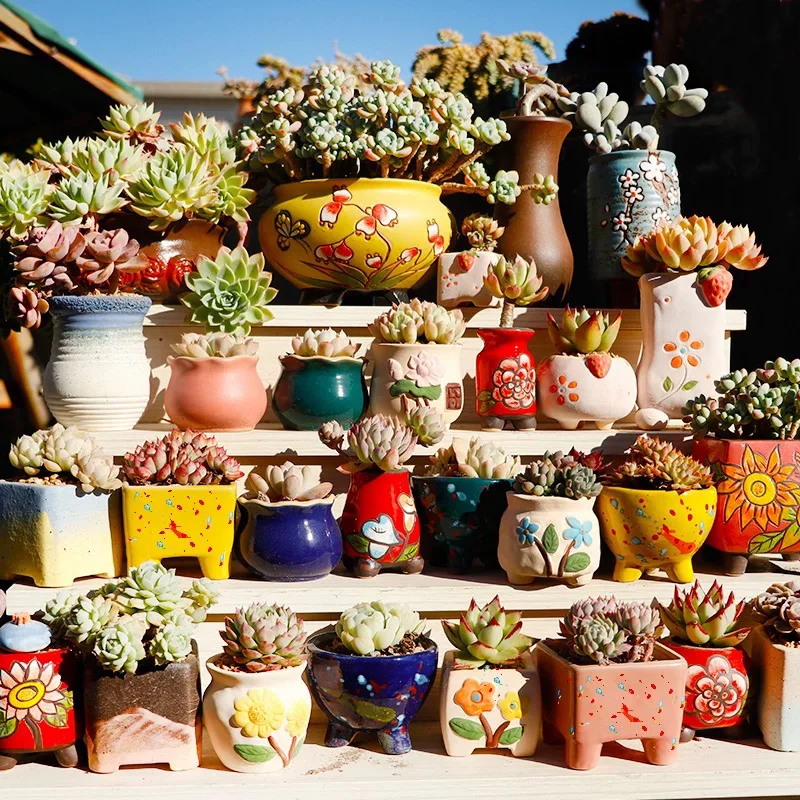 

Flower Pot Succulent Pots Cactus Pots Planter Garden Pot Plant Ceramic Pot Outdoor Garden Decoration