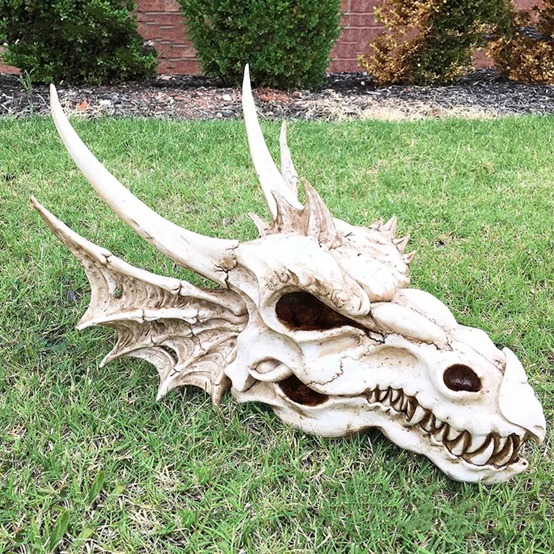 

Fossil Statue of Erathia Dragon Elder Skull Fossil Statue for Medieval Dragon Age Fans Game of Thrones Dungeon and Dragon lovers