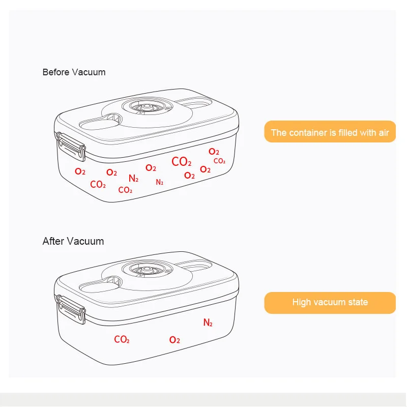 White Dolphin Circle Rectangle Square Vacuum Container Crisper Different Capacity Vacuum Sealer Kitchen Food Storage Box