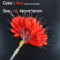 Red(1)