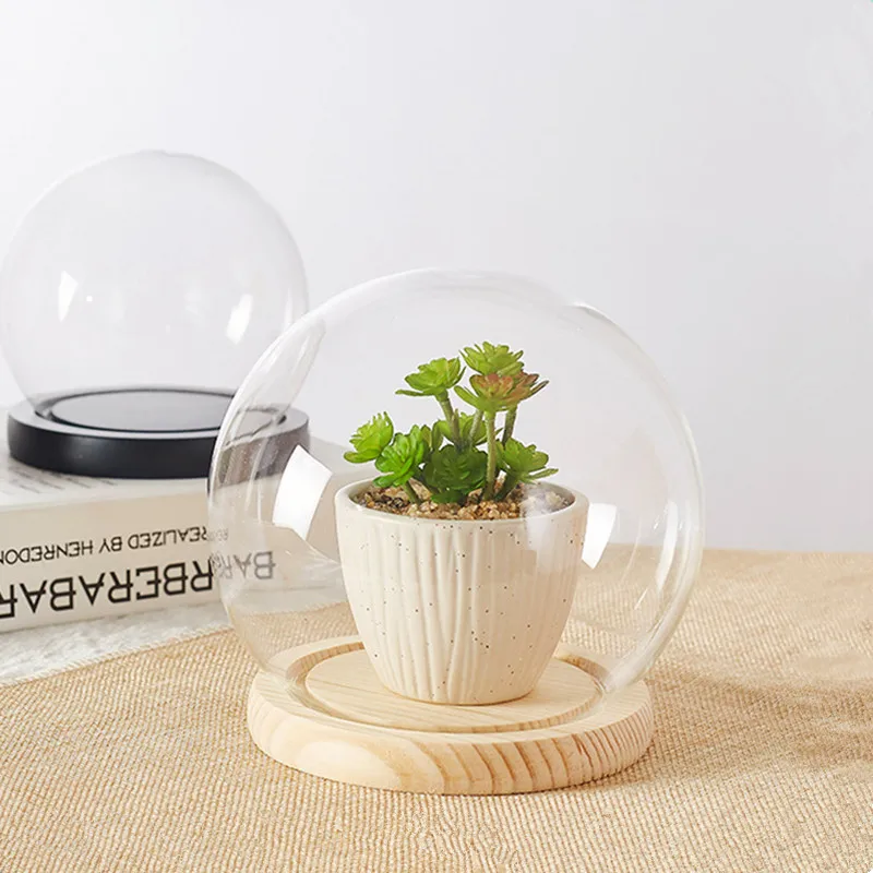 Diameter=10cm Small Size Log Base Glass Dome Vase Home Decoration Round Shaped Transparent Cover Friend Gift Wedding Live Prop